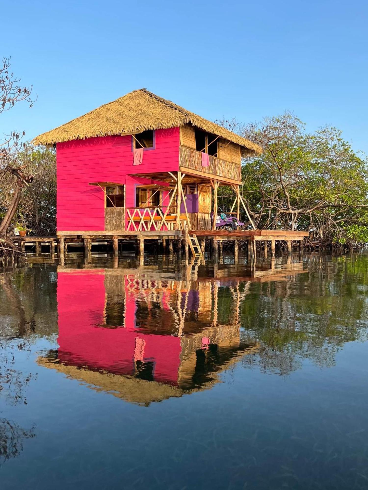 Hotel Urraca Private Island Bocas Del Toro (Adults Only) Buena Vista  Exterior foto