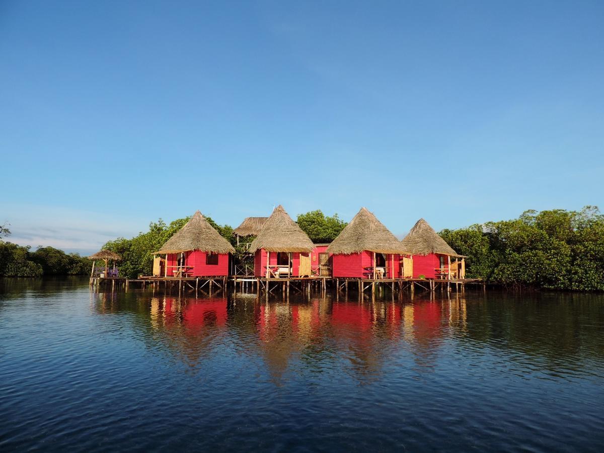 Hotel Urraca Private Island Bocas Del Toro (Adults Only) Buena Vista  Exterior foto